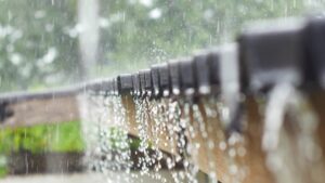 Roof Waterproofing Services