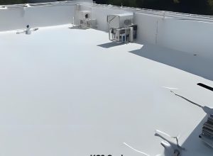 Cool Roof Coating