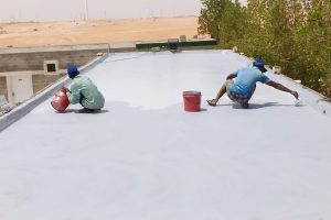 Flat Roof Waterproofing Services